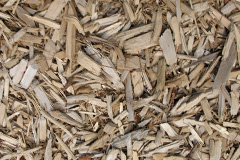 biomass boilers Pages Green