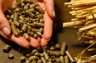 free Pages Green biomass boiler quotes